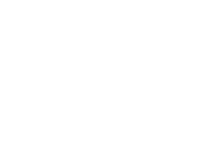 Galileo Visionary District logo